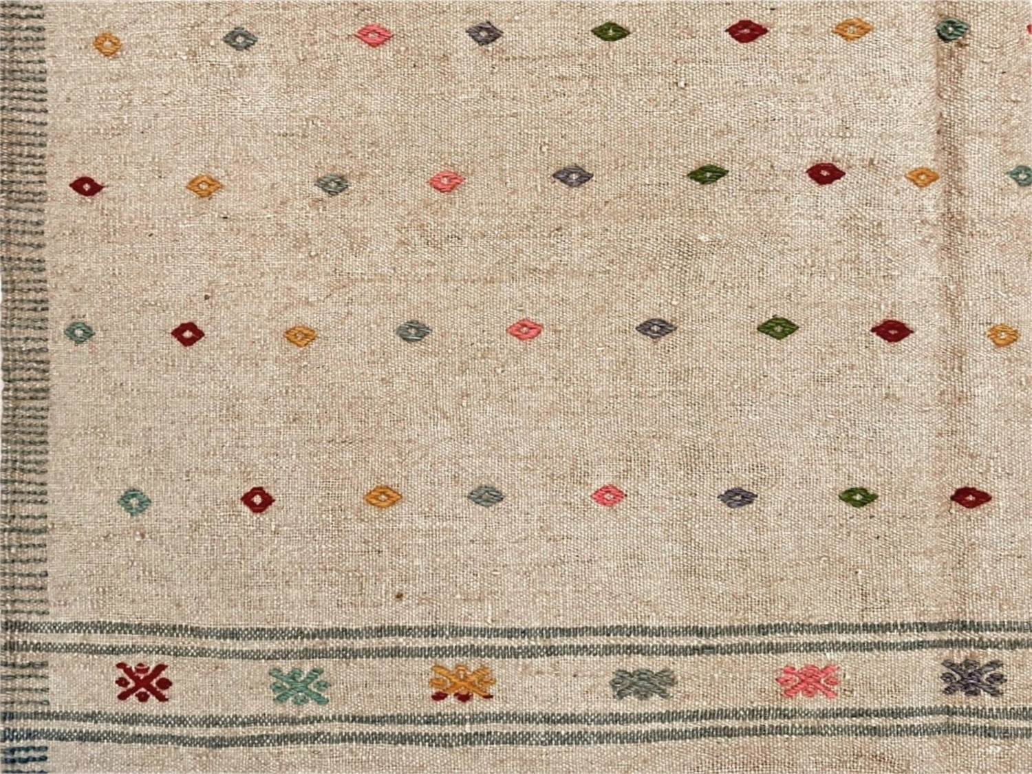 Summer '26 Collection | INDIGO Rugs