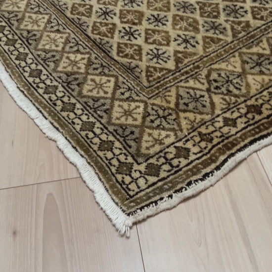 kayseri turkish rug for living room, bedroom, study, office. Turkish rug shop san francisco bay area. Oriental rug palo alro, san francisco, berkeley. Buy handmade wool rug online free shipping USA and Canada